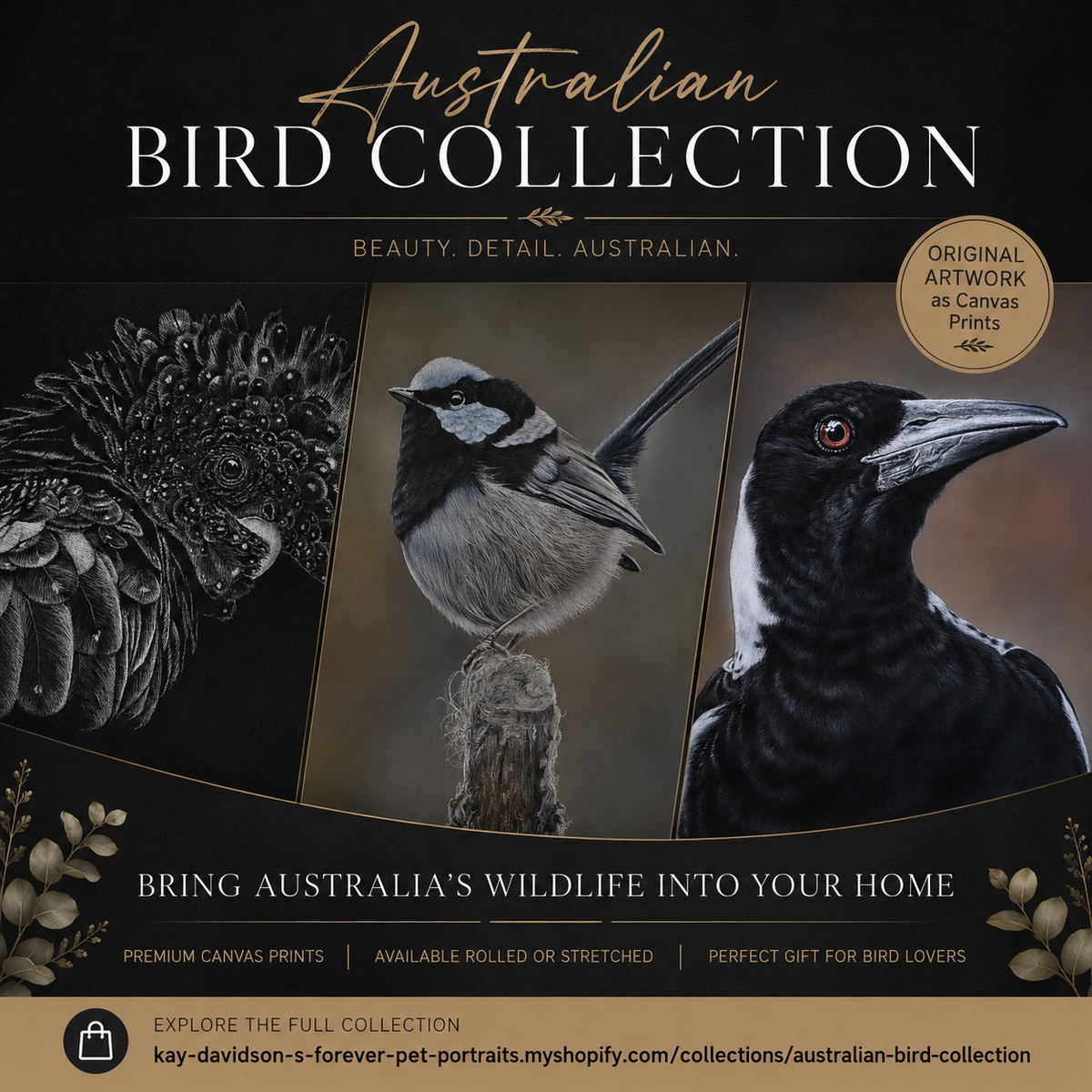 Australian bird collection