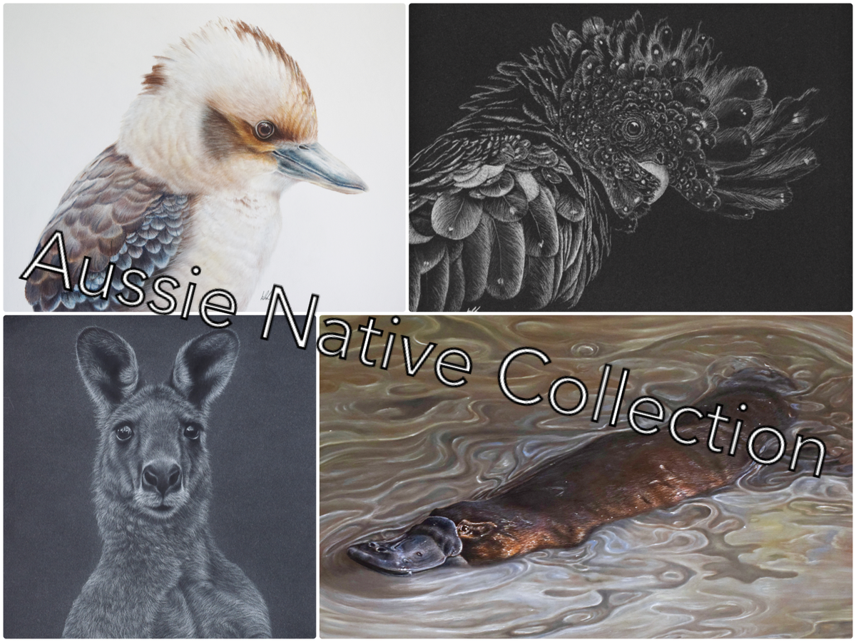Aussie native collection