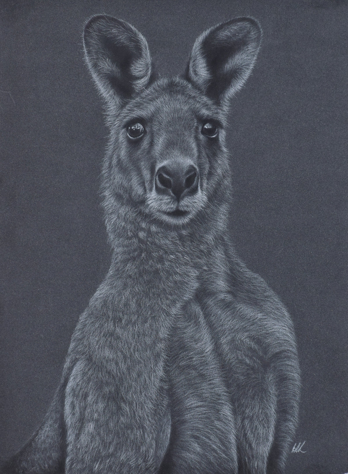 AUSTRALIANA THEME