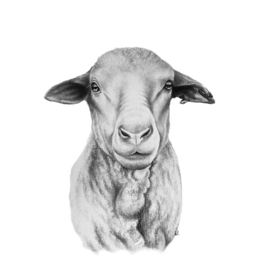 Ewe Rolled Print