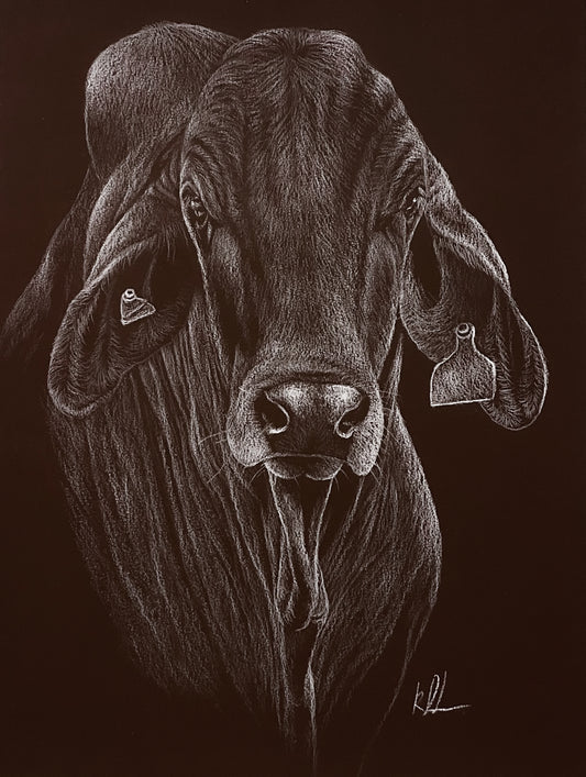 Stare down - Rolled Canvas Print
