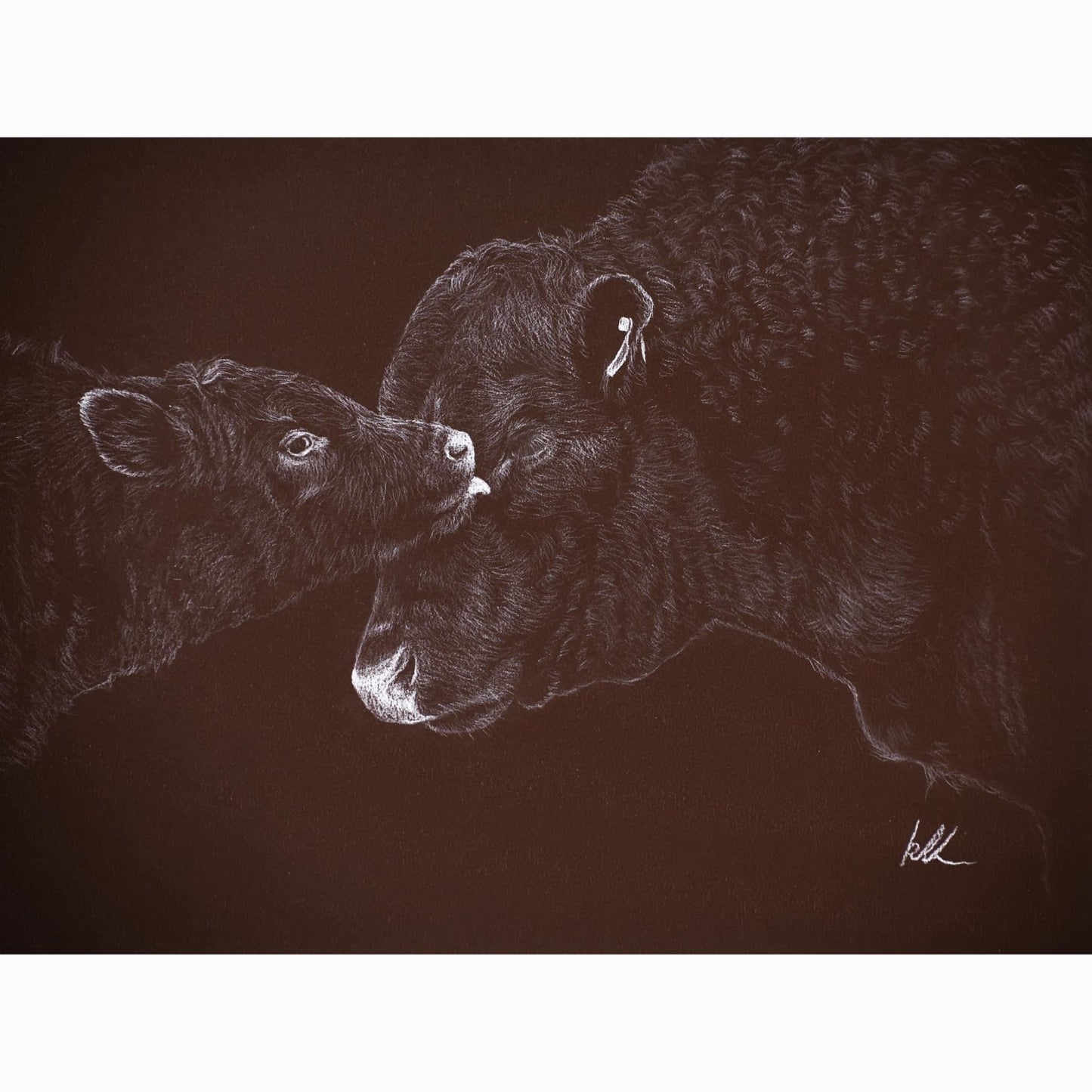 calf licking bulls face realism artwork