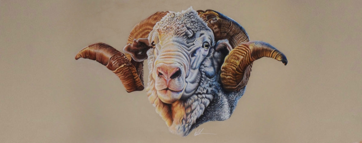 hay runner ram artwork by kay davidson