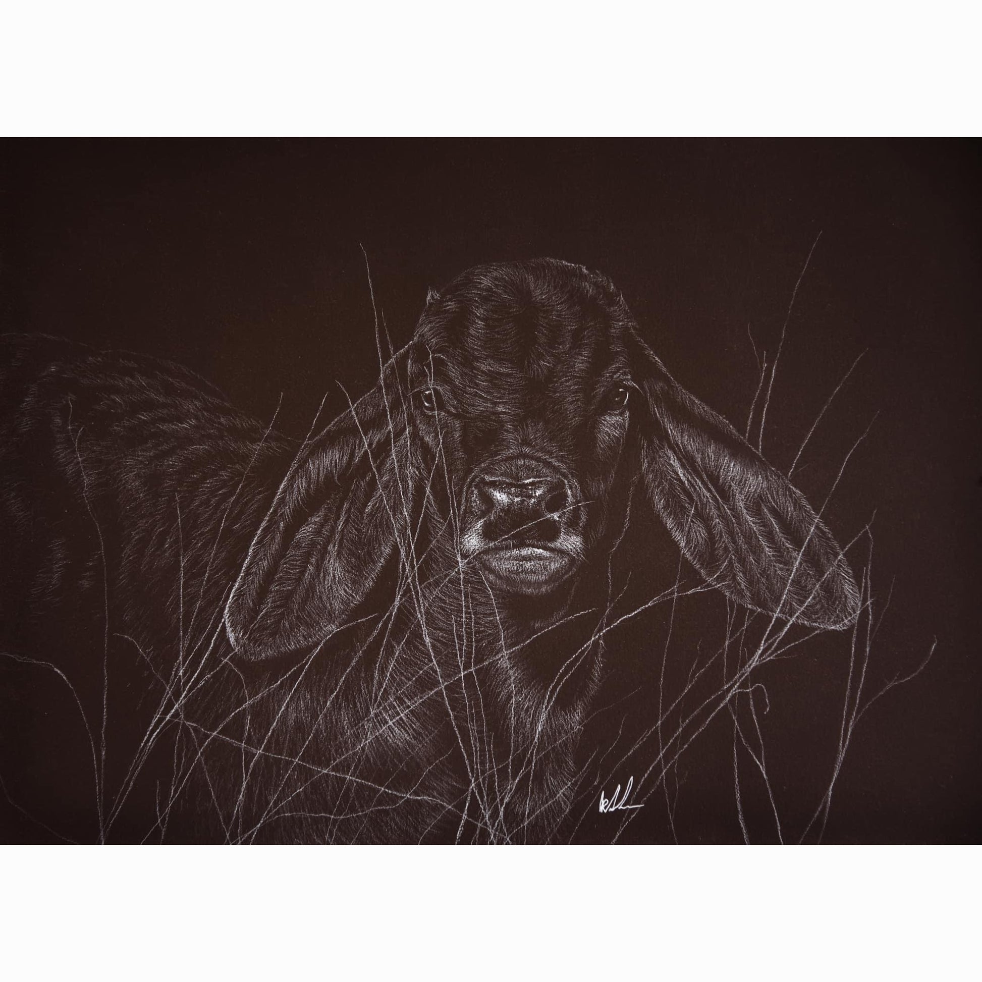 calf realism artwork standing in grass in the dark