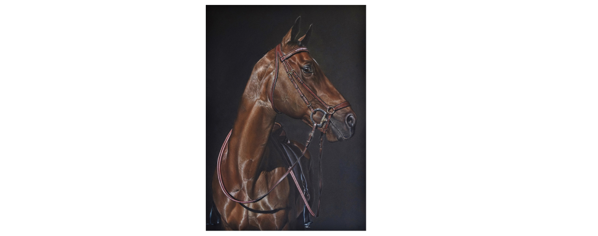 quick sketch added extras example of horse wearing a bridle