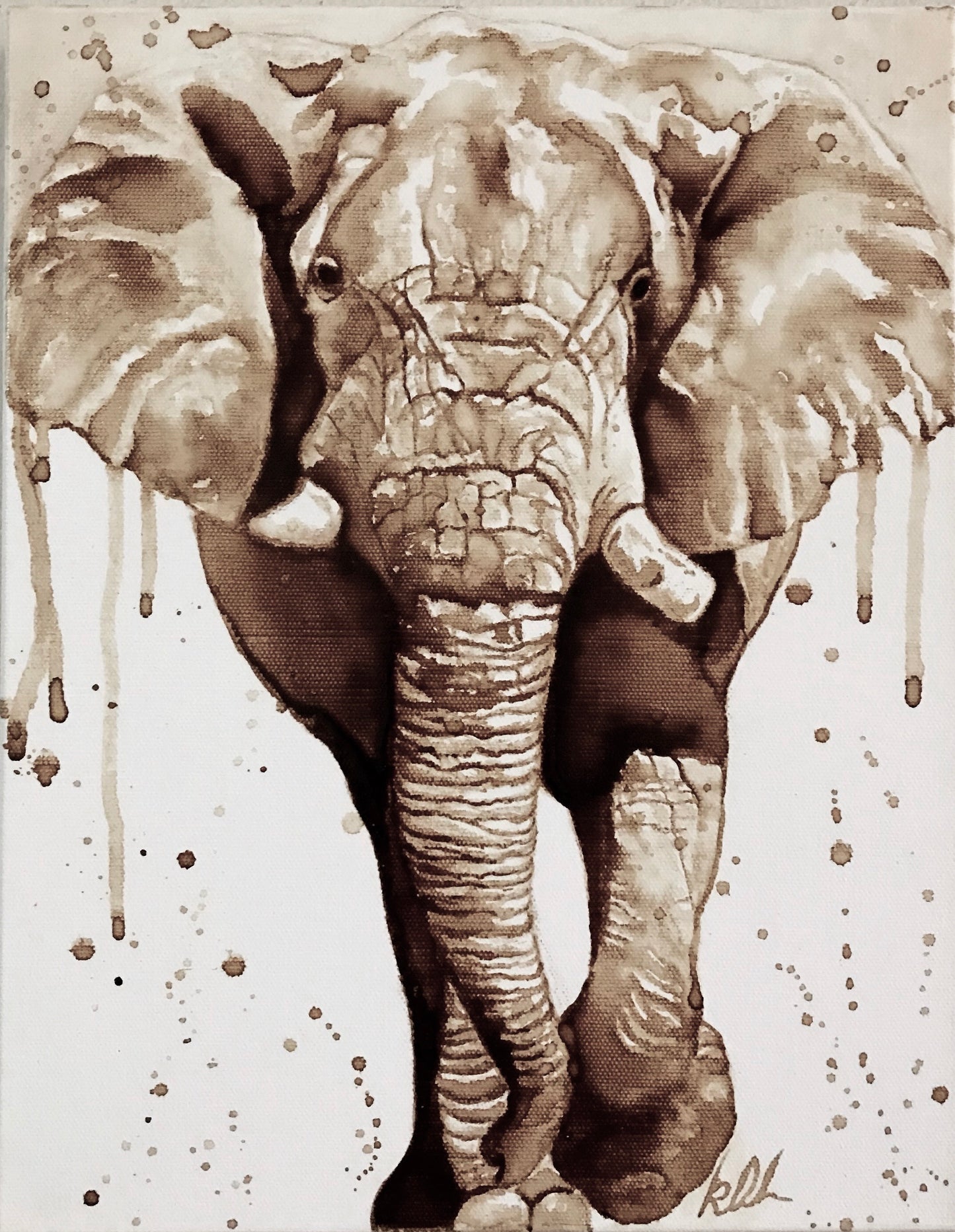 Tembo studio stock