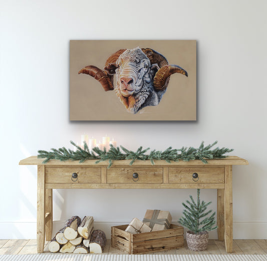 Hay runner ram Stretched canvas print